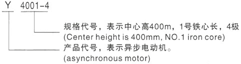 西安泰富西玛Y系列(H355-1000)高压芜湖三相异步电机型号说明